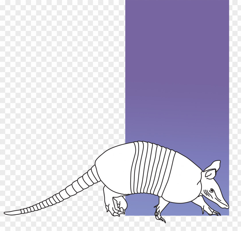 Tatu Literature Cat-like Organization Armadillo Creative Writing PNG