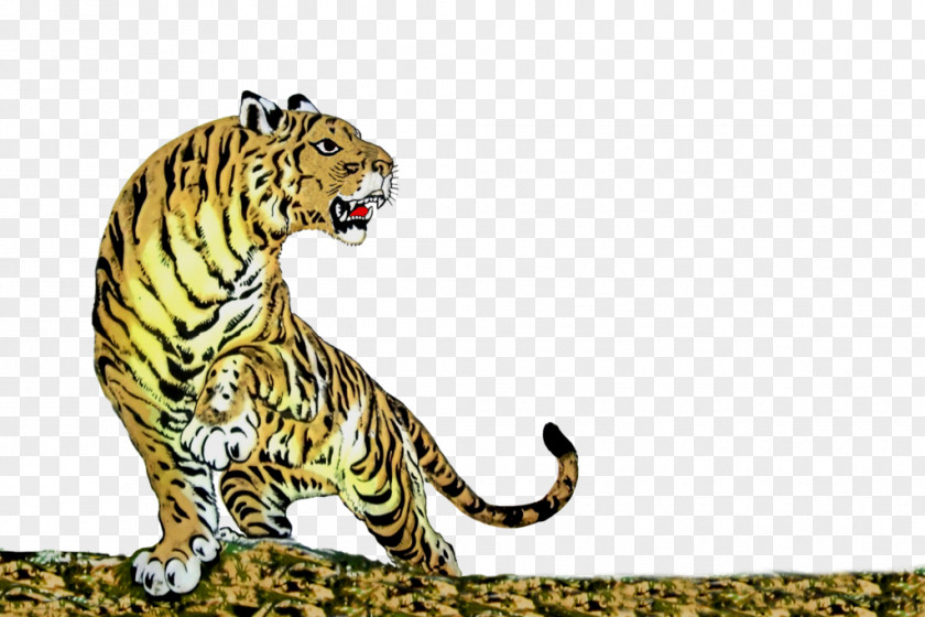 Tiger Cheetah Cat Whiskers Terrestrial Animal PNG