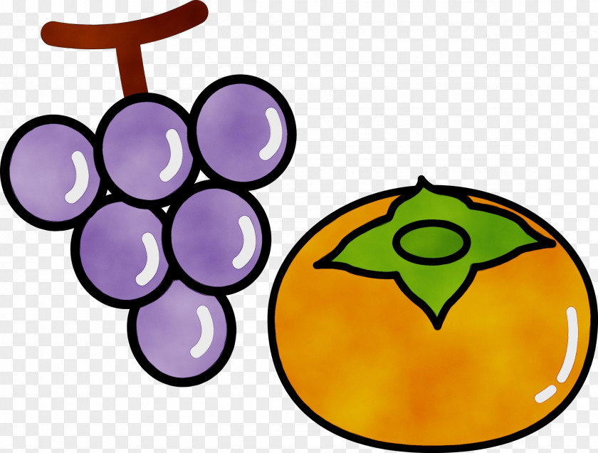 Vitis Plant Clip Art Grape Fruit Symbol Grapevine Family PNG