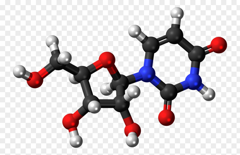 Adenosine Monophosphate Nucleotide Triphosphate Diphosphate Uracil PNG