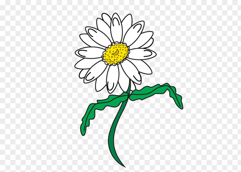 Surround Lines Drawing Line Art Common Daisy Clip PNG