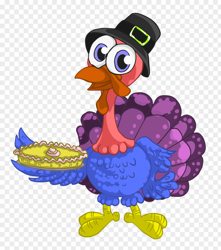 Turkey Bird Vector PNG