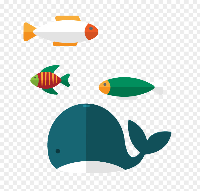 Whale Combination Aquatic Animal Clip Art PNG