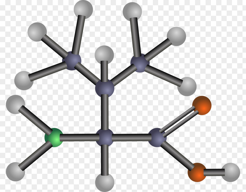 Bullet Hole Vector Amino Acid Valine Methionine Threonine PNG