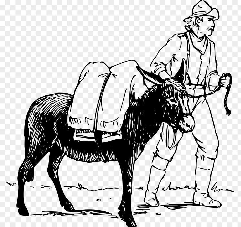 Donkey Mule Drawing Clip Art PNG
