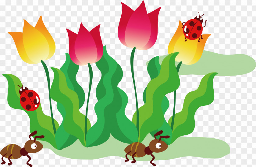 Hand-painted Tulip Vector Drawing Illustration PNG