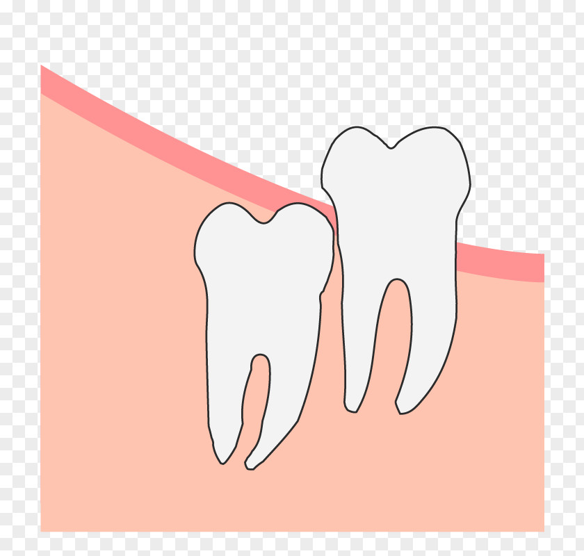 Hand Tooth Model Thumb Jaw Mouth PNG