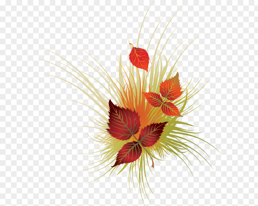 Leaf Autumn Color Clip Art PNG