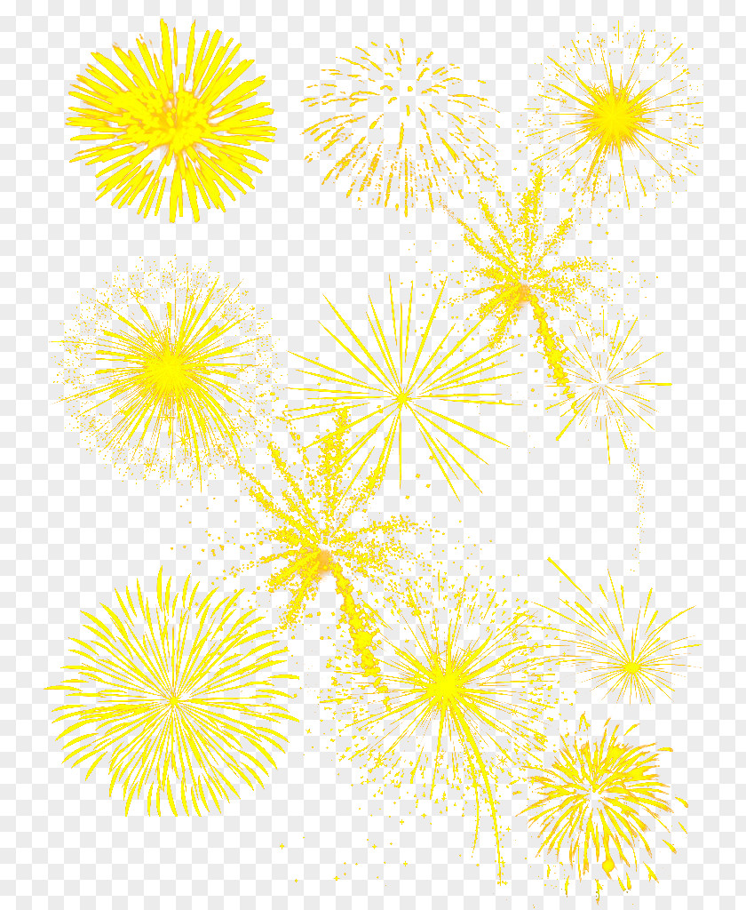 Yellow Fireworks Download PNG