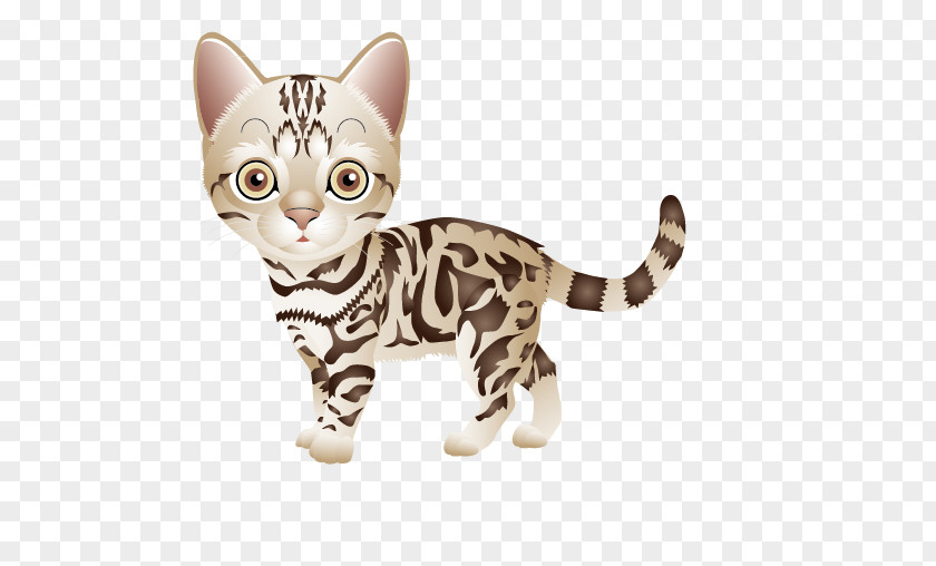 Cat British Shorthair Persian American Kitten Clip Art PNG