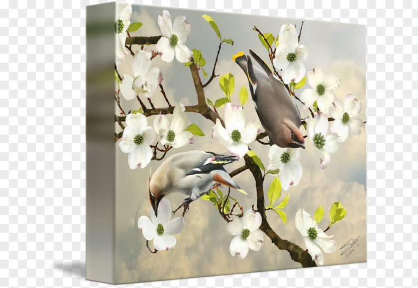 Cherry Blossom Floral Design Fauna PNG