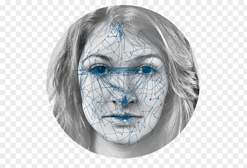 Face Recognition Forehead Drawing /m/02csf Jaw PNG