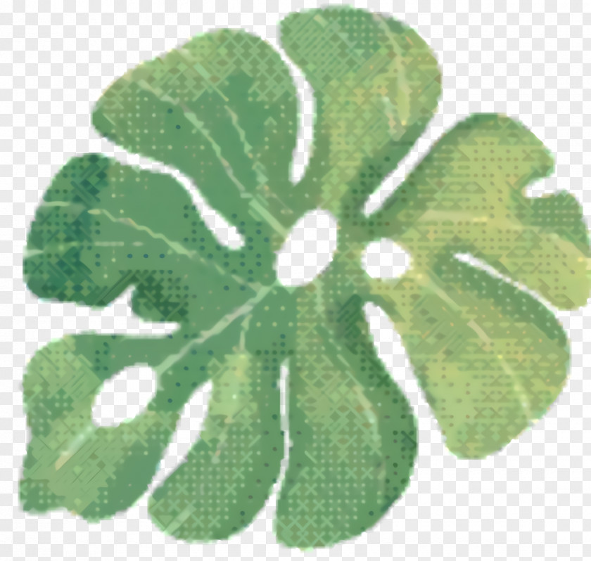 Impatiens Symbol Green Leaf Background PNG