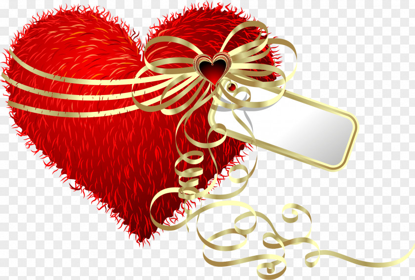 Kartikeya Valentine's Day Gift Heart Pillow PNG