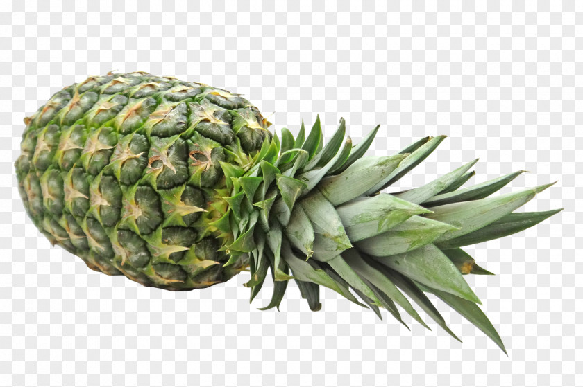 Pineapple Fruit Organic Food PNG