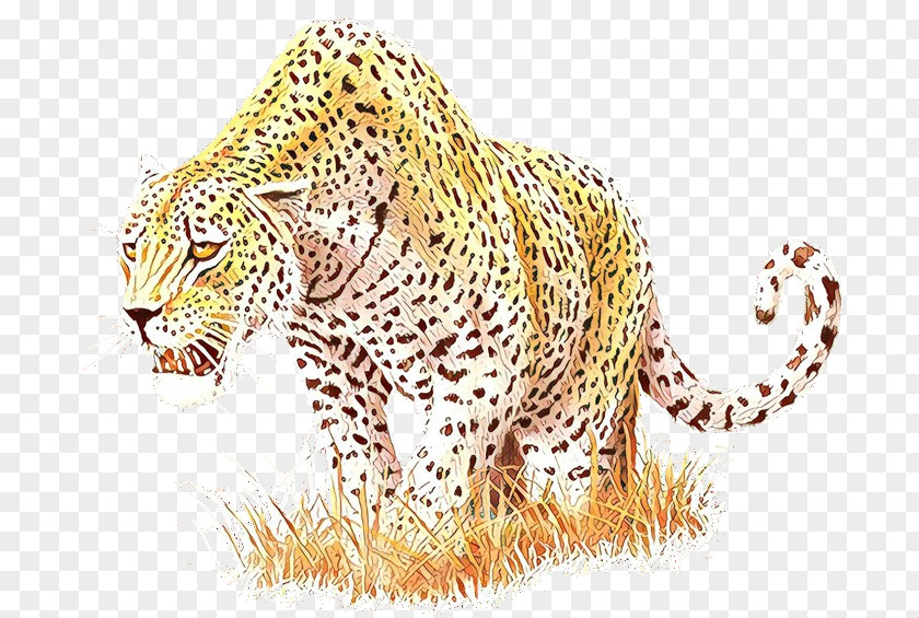 Snow Leopard Cheetah Tiger Ocelot PNG