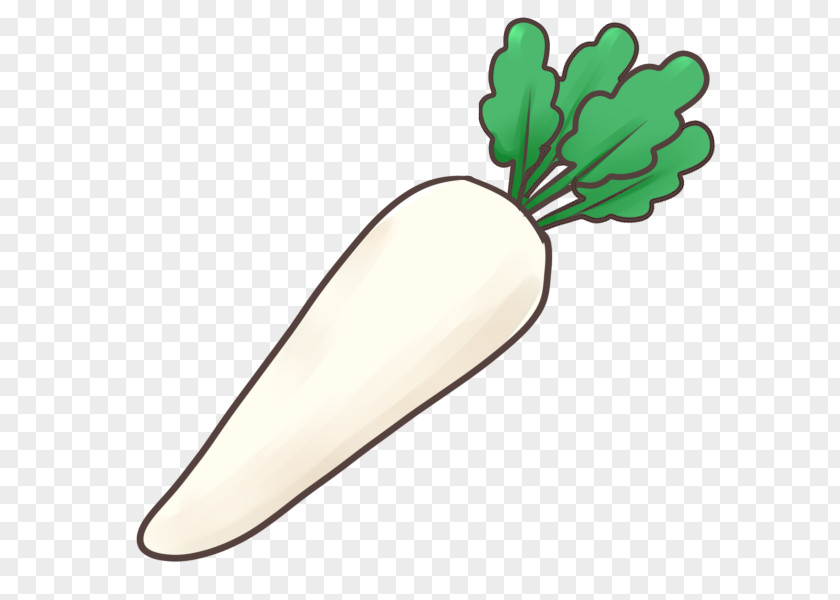 Vegetable Daikon Food Napa Cabbage Clip Art PNG