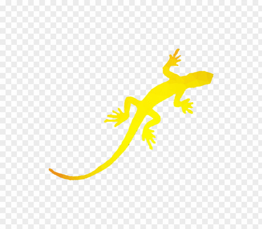 Gecko Lizard Blue Chameleon: With Audio Recording Yellow Eidechse PNG