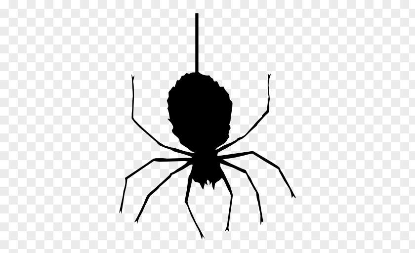 Halloween Spider Clipart Web Icon PNG