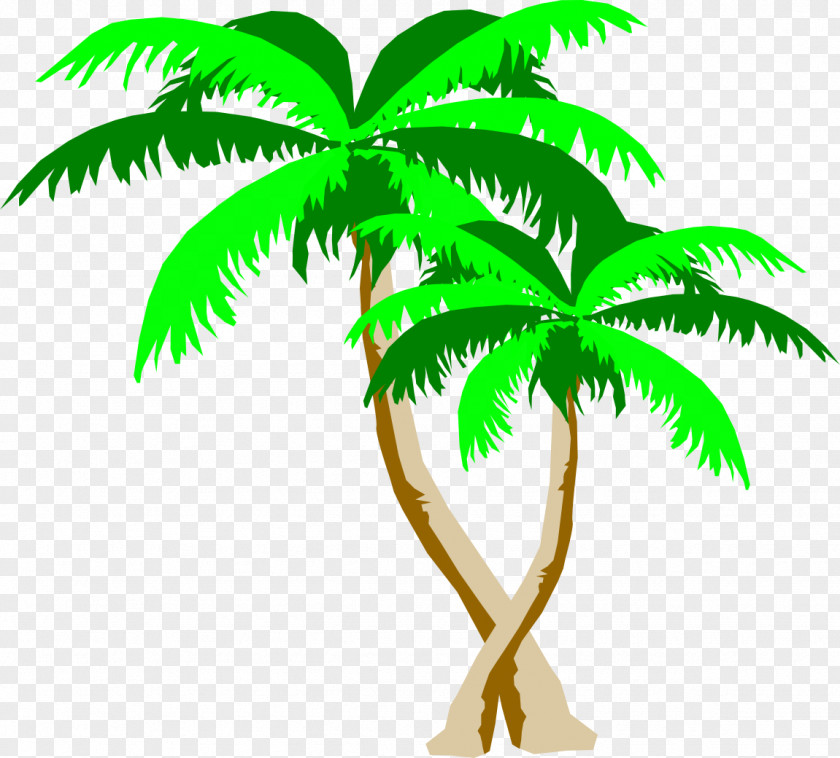 Leaf Arecaceae Plant Stem Tree Clip Art PNG