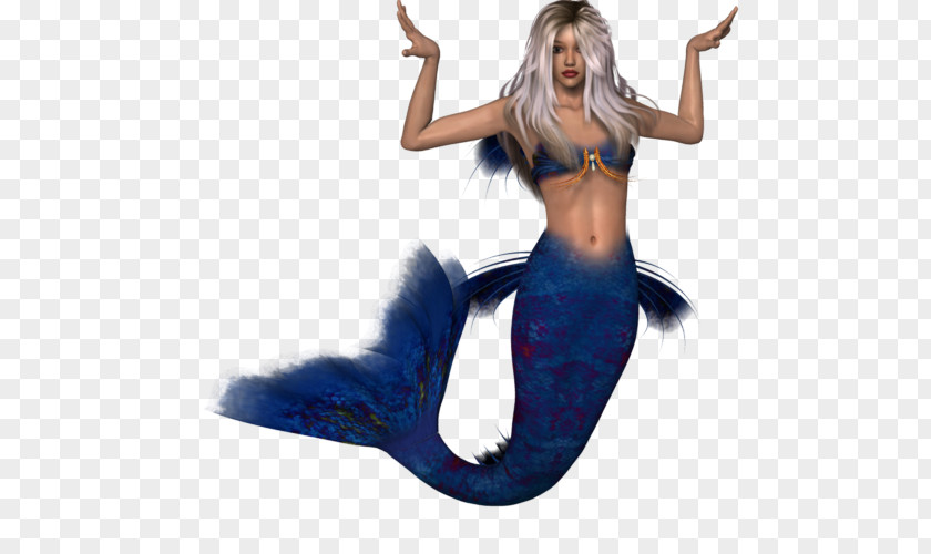 Mermaid Costume PNG