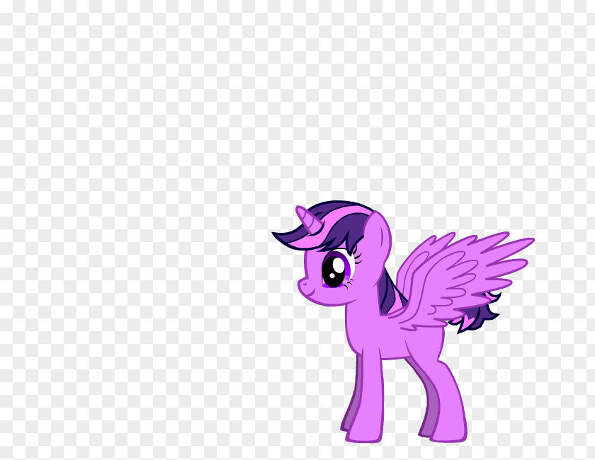 My Little Pony Twilight Sparkle Rainbow Dash Rarity Applejack Winged Unicorn PNG