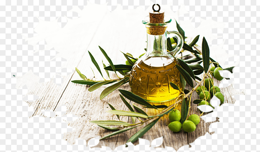 Oil Carrier Olive Health Coconut PNG