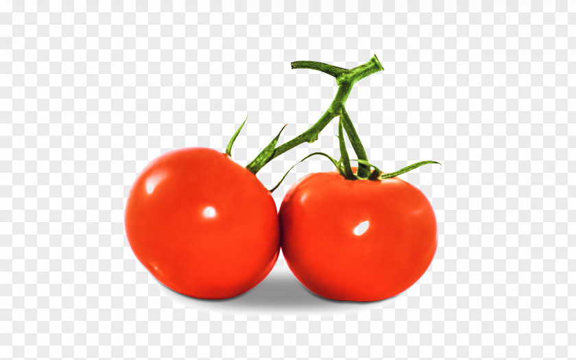 Red Tomatoes La Tomatina Buxf1ol Juice Vegetarian Cuisine Berry PNG