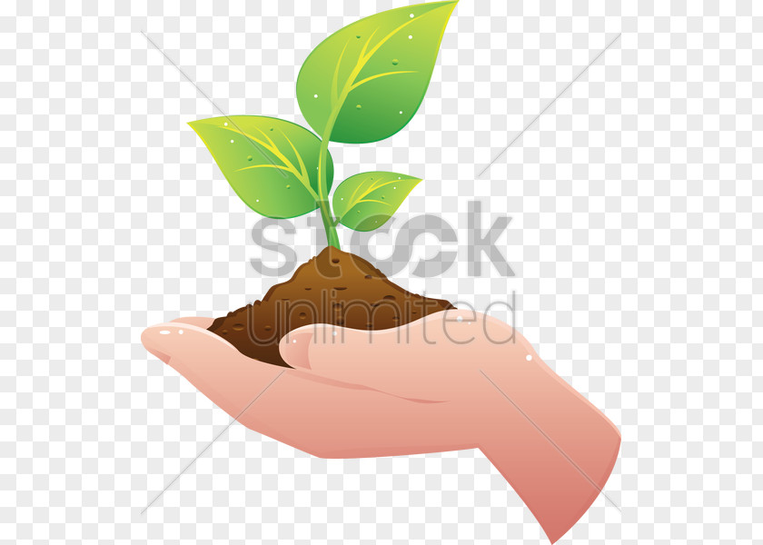 Holding Hands Plant Hand Soil Clip Art PNG