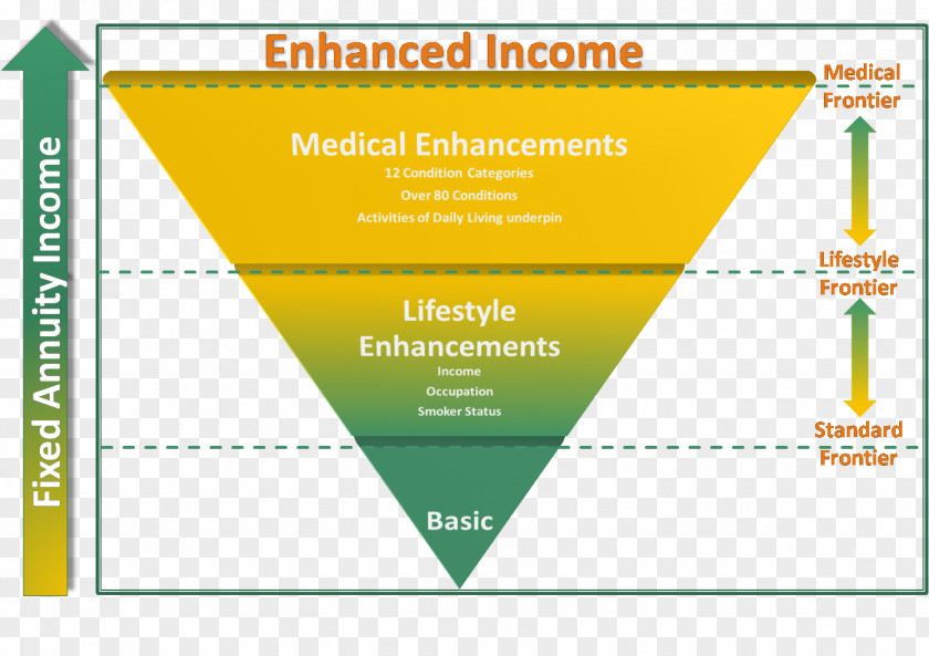 Income Life Annuity Retirement Pension PNG