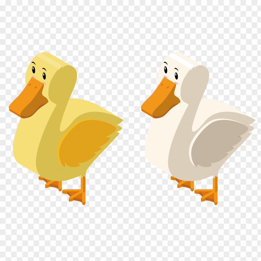 Vector Cute Ducks Duck 3D Computer Graphics Illustration PNG