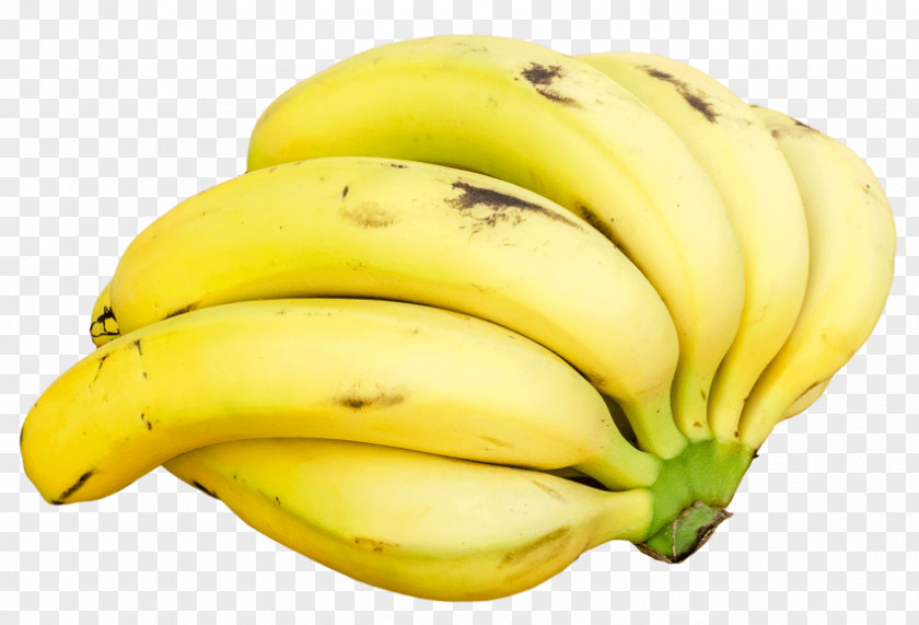 Banana Saba Cooking Fruit Banaani PNG