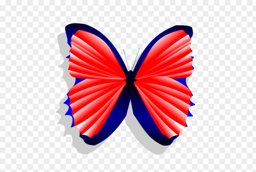 Butterfly Blue Red Drawing PNG