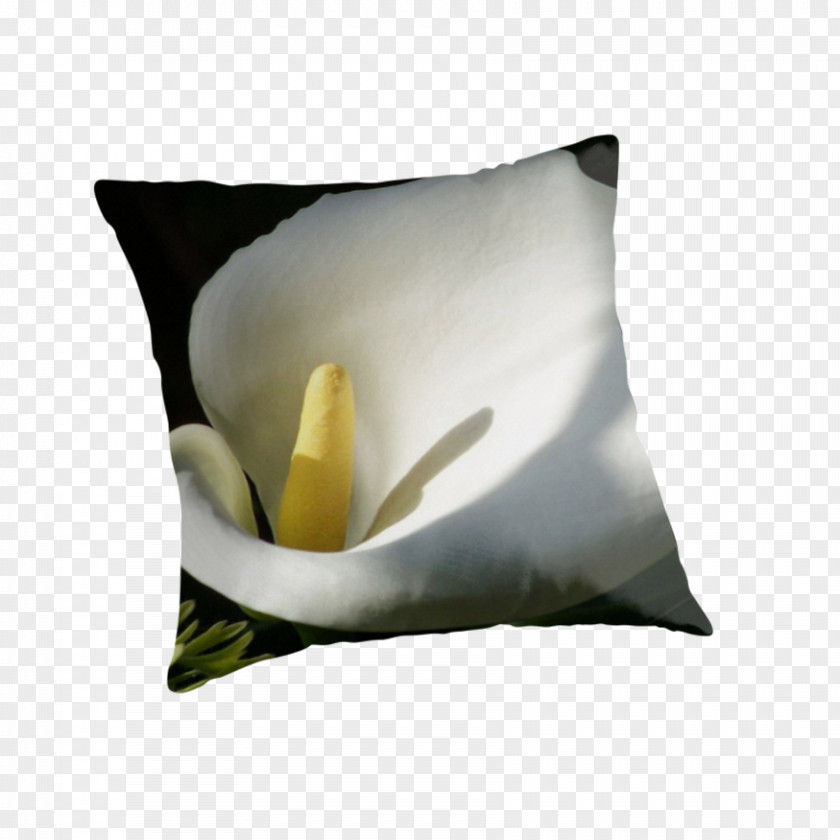 Callalily Throw Pillows Cushion Flower Petal PNG