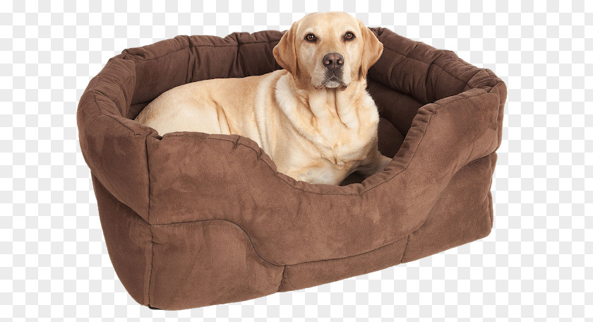 Fancy Dog Grooming Puppy Bed Pet PNG