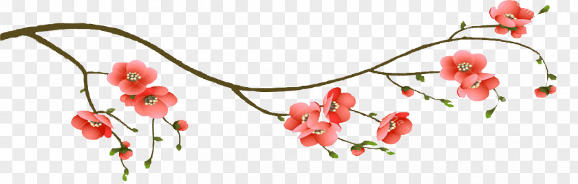 Sakura Branch Cherry Blossom Floral Design PNG