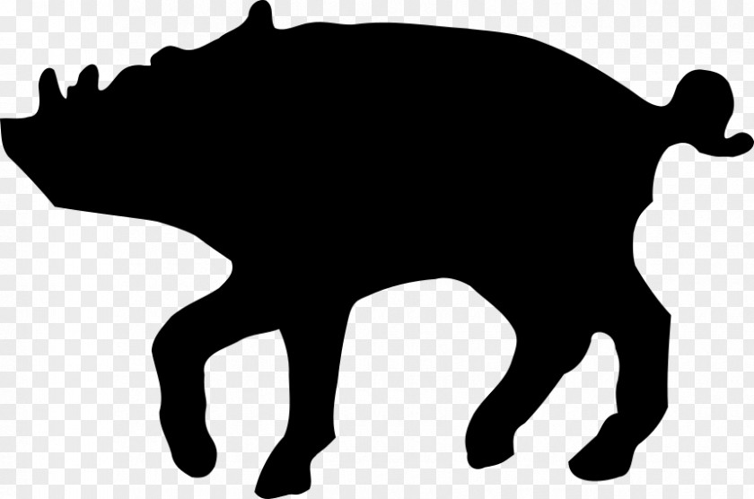 Tapir Tail Pig Cartoon PNG