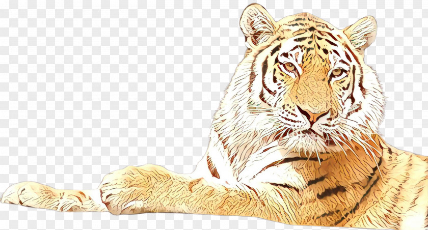 Tiger Bengal Wildlife Siberian PNG