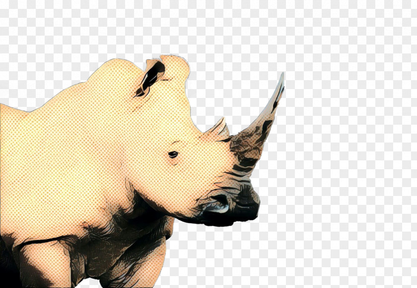 Wildlife Horn Rhinoceros Black White Animal Figure Snout PNG