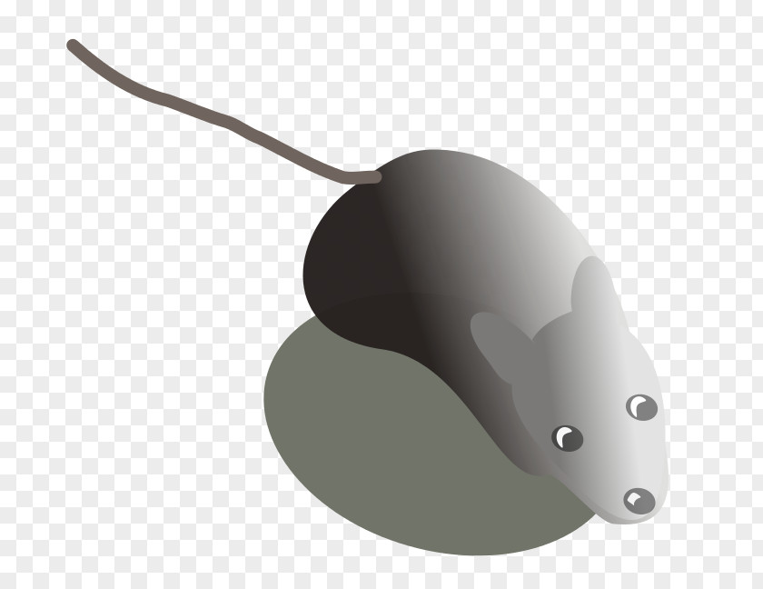 Computer Mouse User Interface PNG