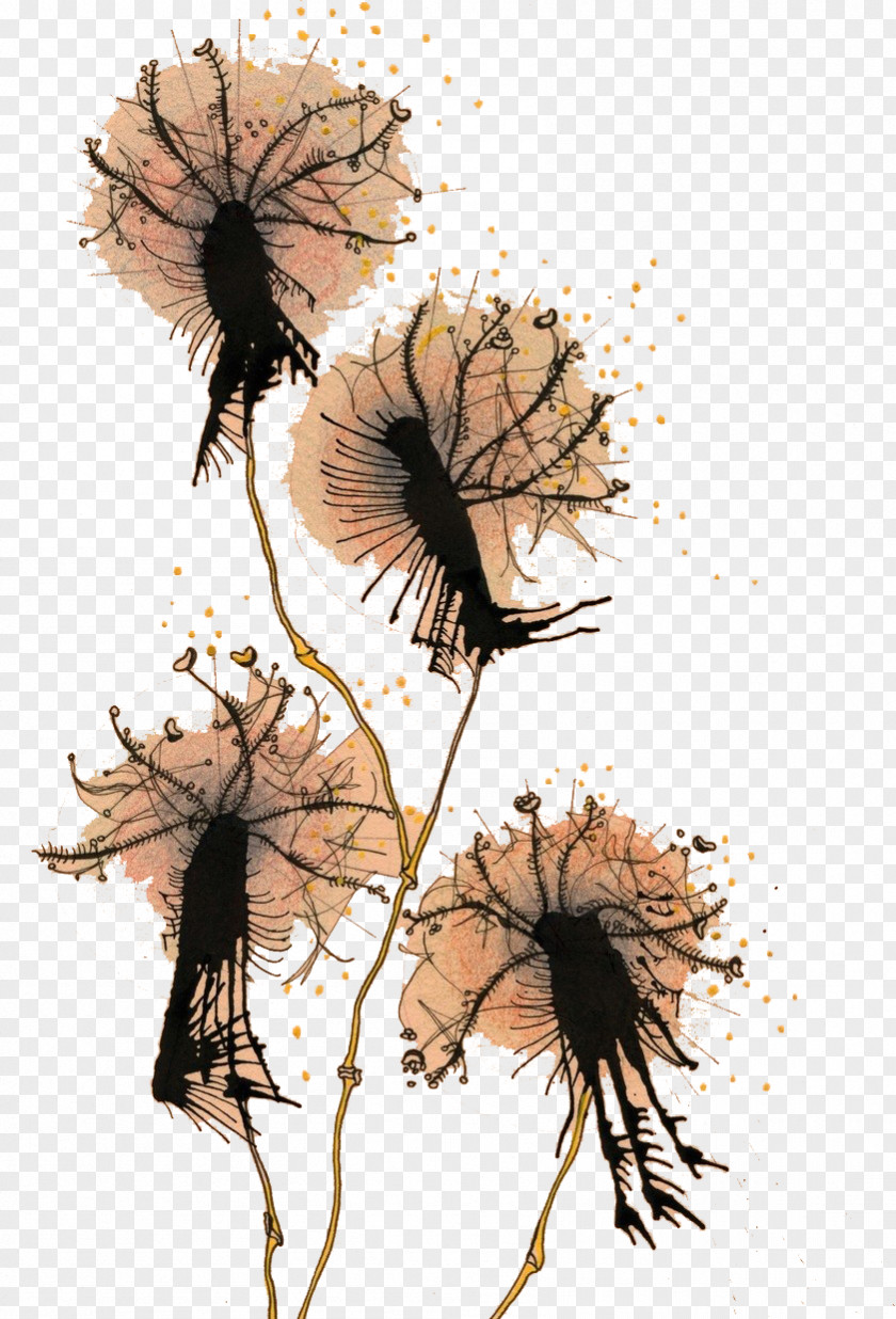 Dandelion Plant Pissenlit PNG