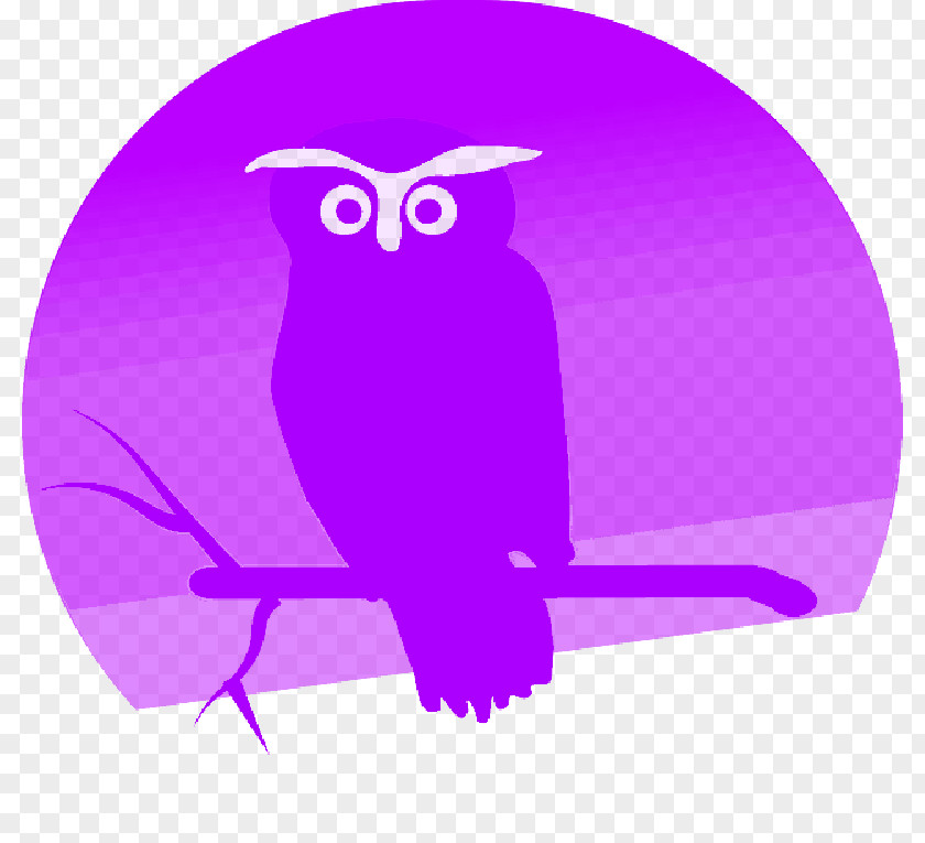 Owl Drawing Bird Clip Art Painting PNG