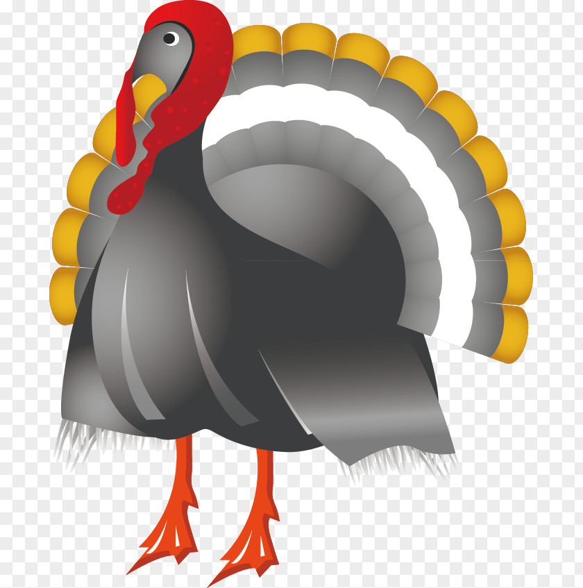 Peacock Decoration Design Vector Thanksgiving Symbol Clip Art PNG