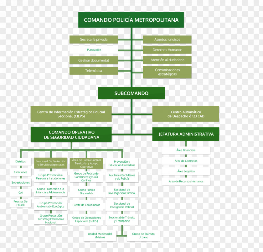 Police Popayán Organizational Chart National Of Colombia PNG