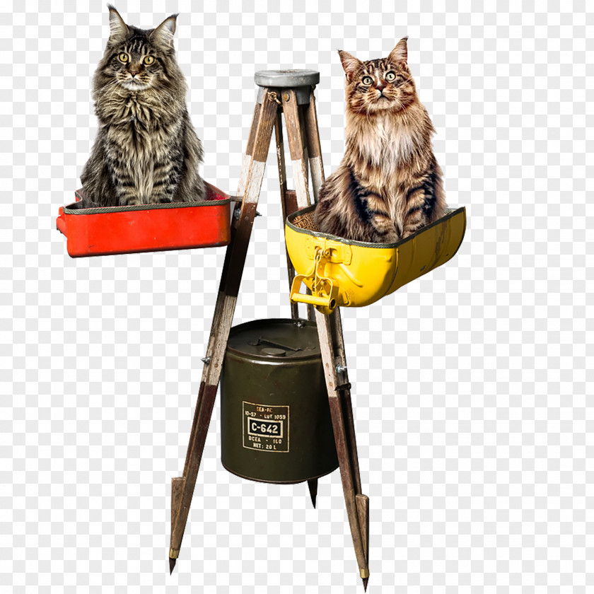 Tripod Theodolite Maine Coon Cat Tree Dog Banquette PNG