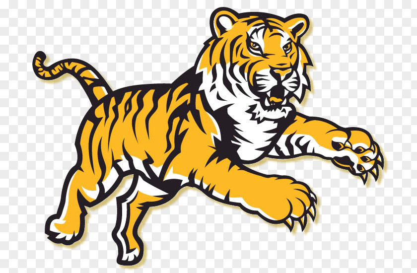 Classmates Album Louisiana State University IPhone 4S LSU Tigers Football Women's Soccer PNG