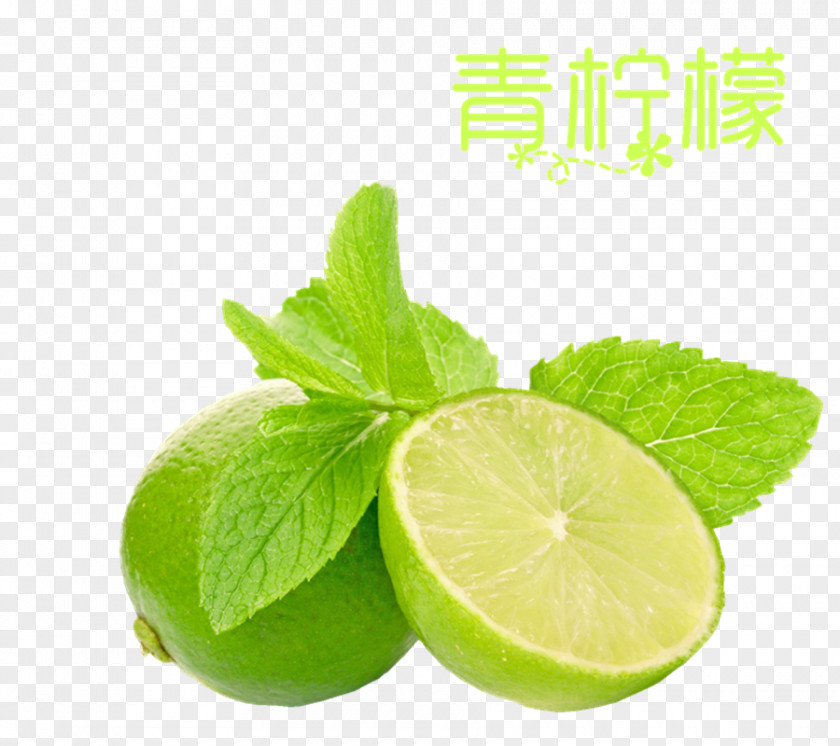 Green Lemon Summer Cool Sour Juice Key Lime PNG