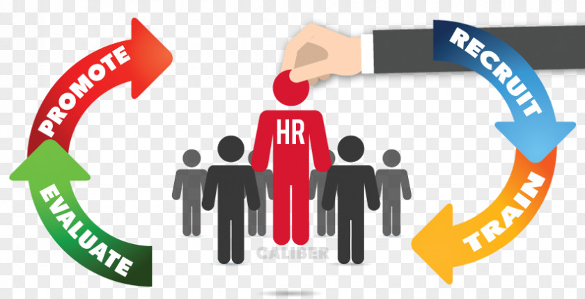 Human Resource Management System PNG