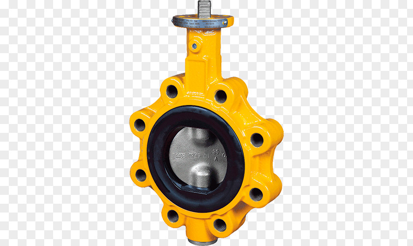 Natural Gas Vridspjällventil Butterfly Valve PNG