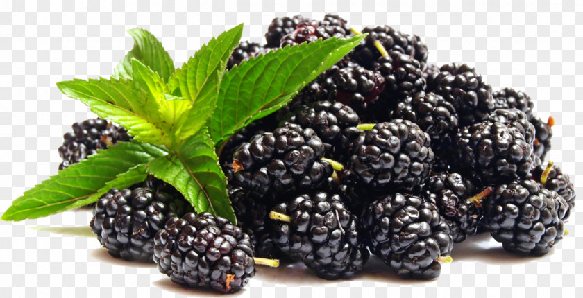 Blackberry Rubus Subgenus Juice Berries Fruit Composition Of Electronic Cigarette Aerosol PNG